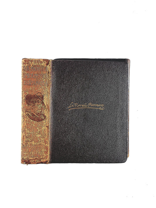 La Novela Picaresca Española