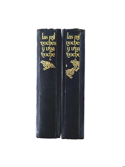 Las mil noches y una noche 2 tomos