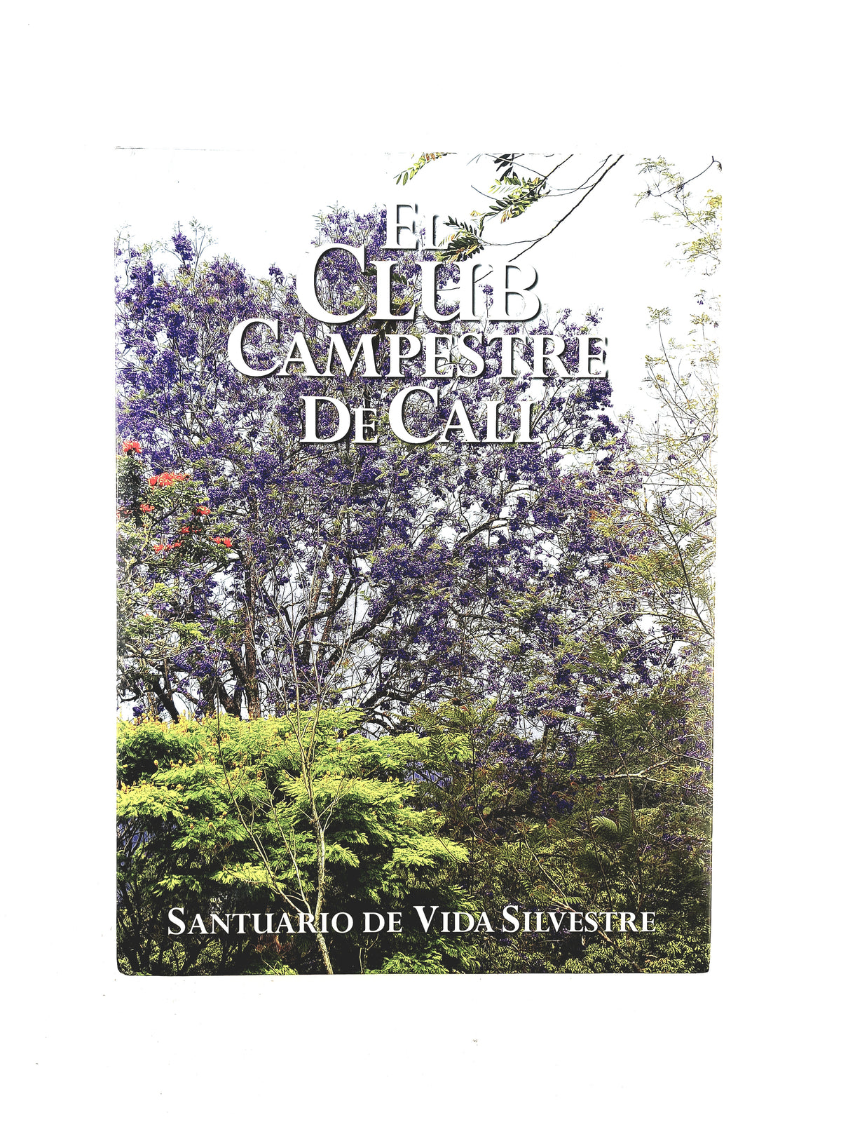El Club Campestre de Cali by Varios