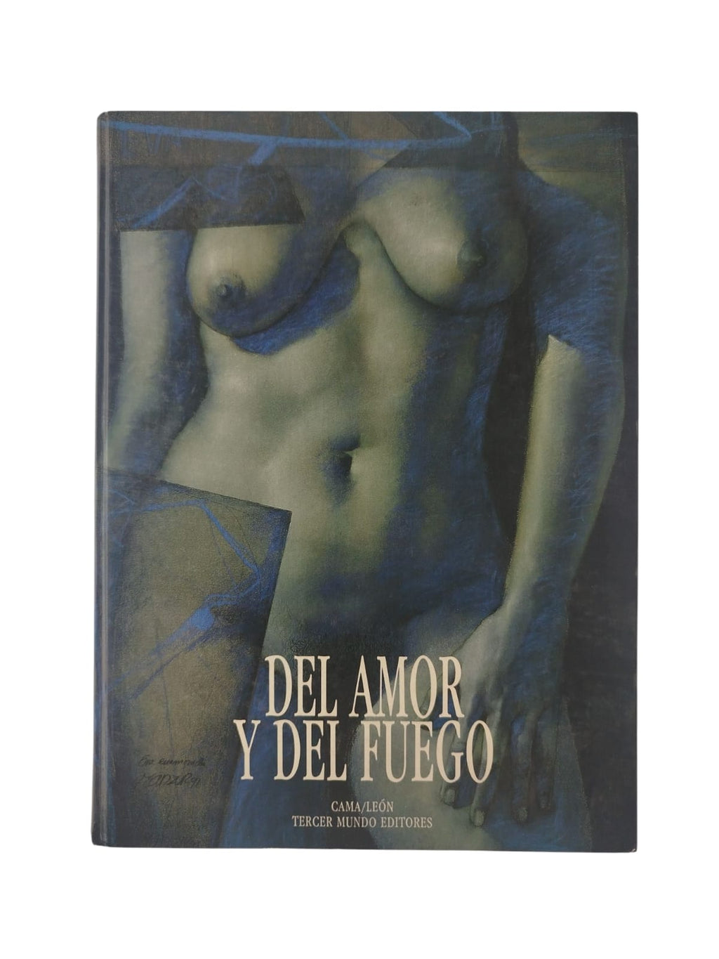 Del amor y del fuego by David Manzur