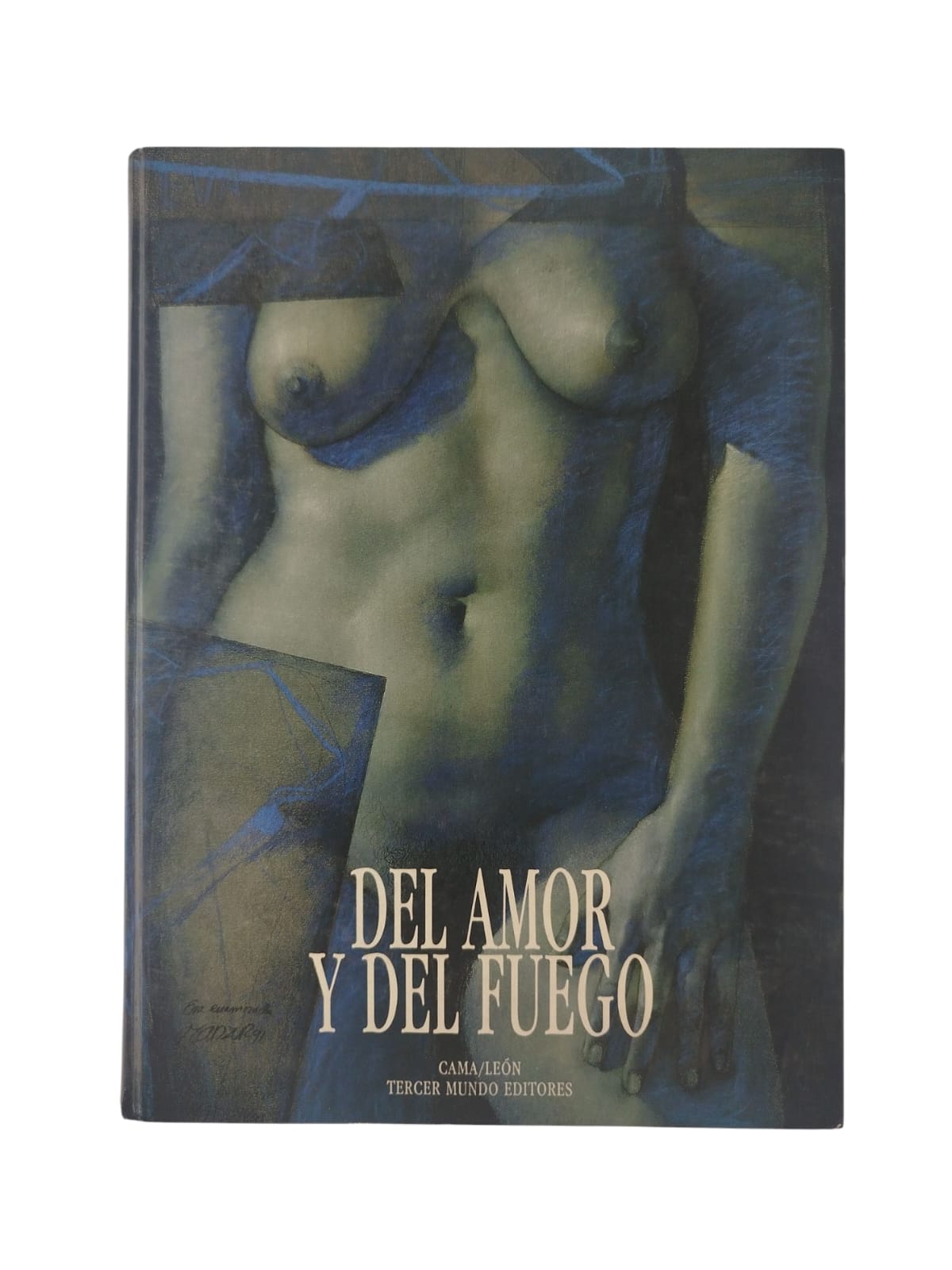 Del amor y del fuego by David Manzur