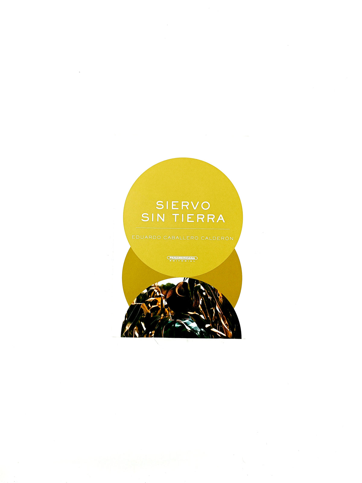 Siervo sin tierra by Eduardo Caballero Calderón