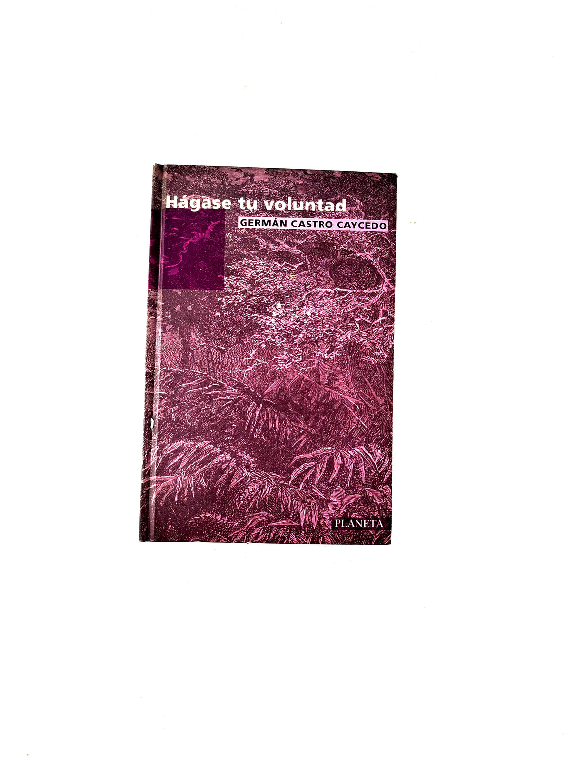 Hágase tu voluntad by Germán Castro Caycedo