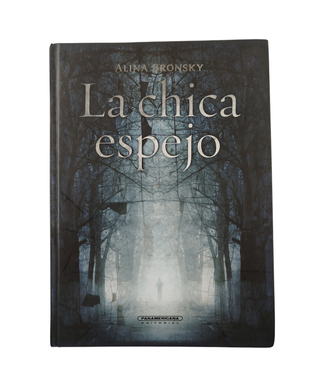 La chica espejo by Alina Bronsky