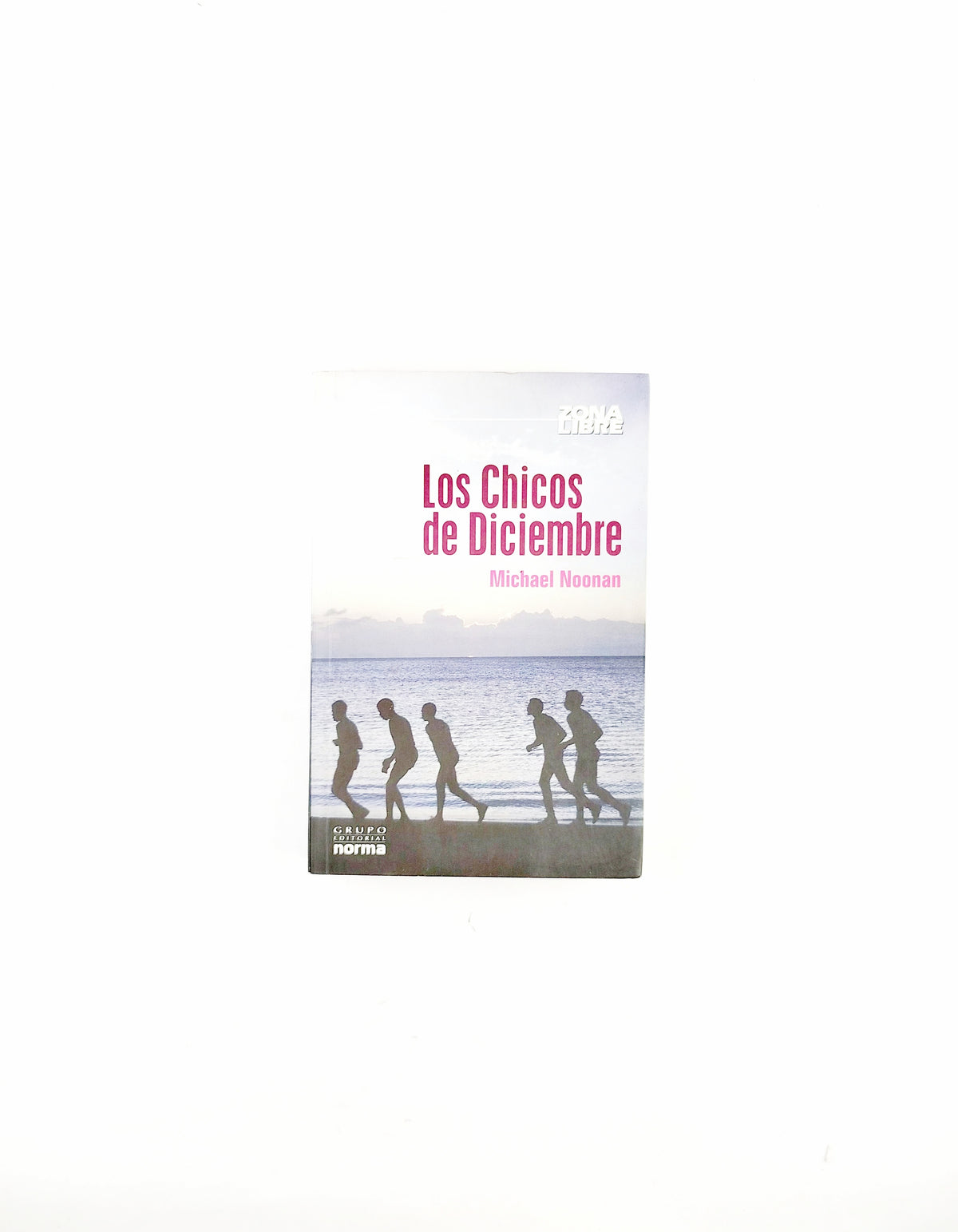 Los chicos de diciembre by Michael Noonan