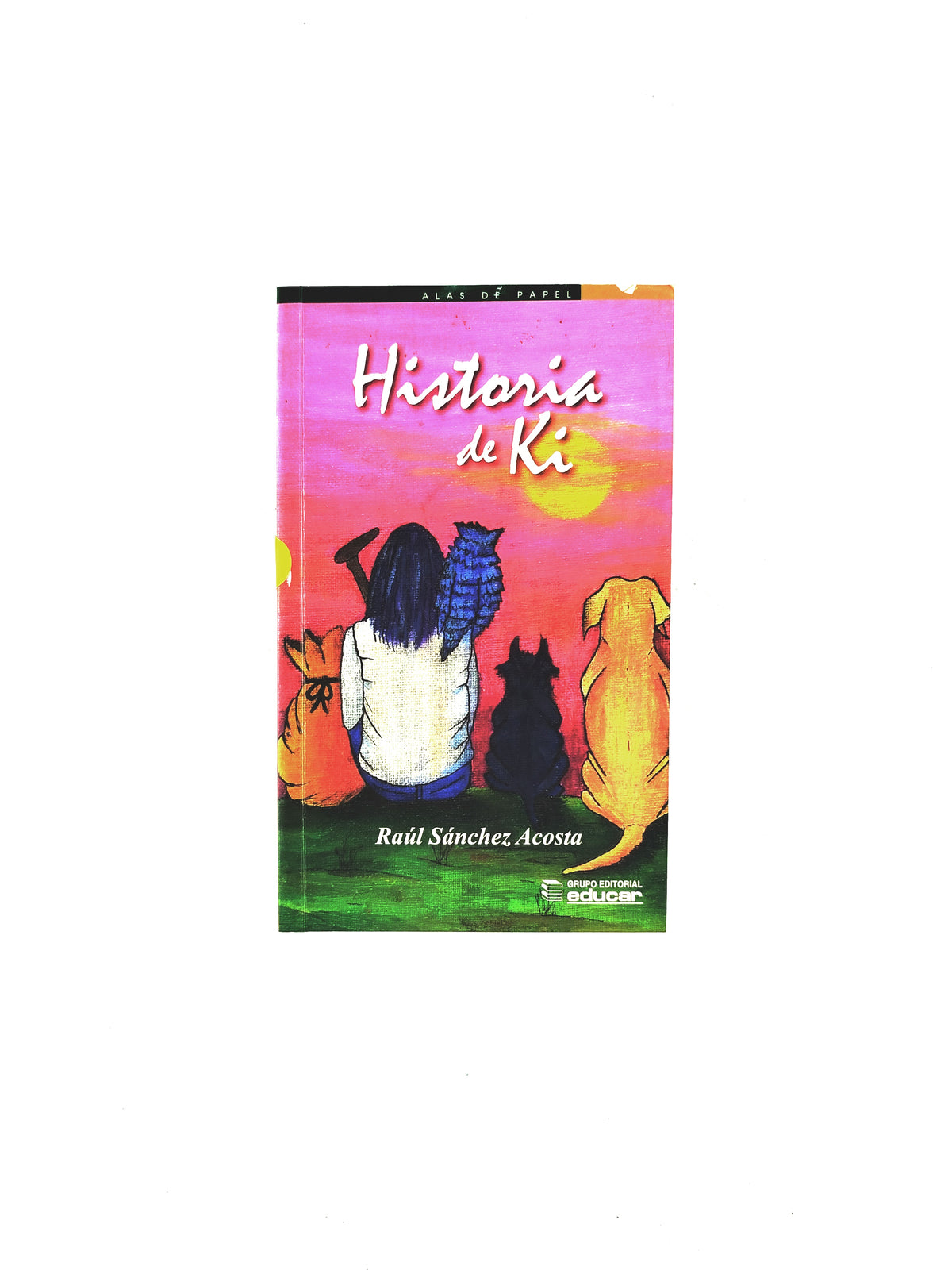 Historia de Ki libro by Raúl Sánchez