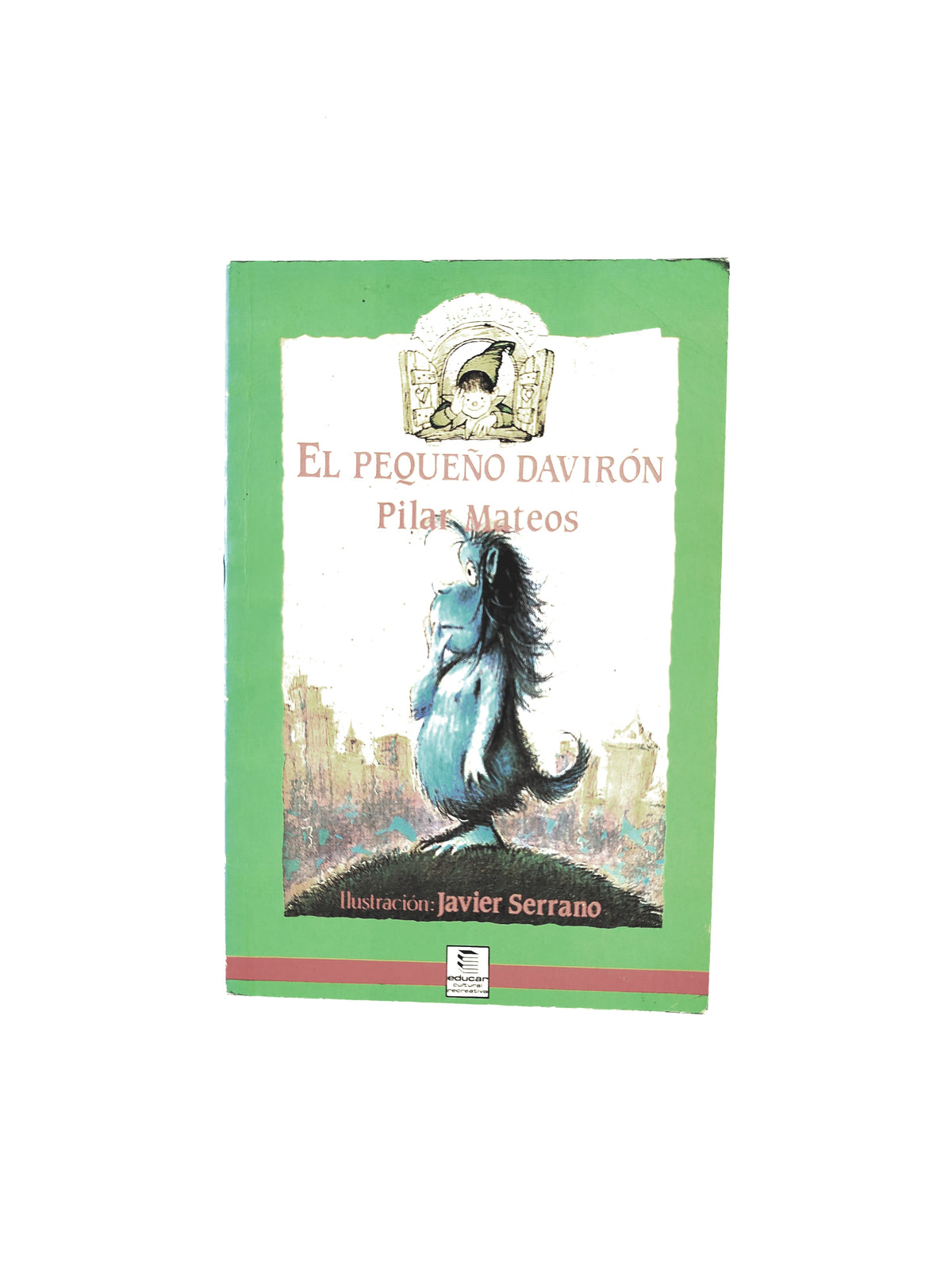 El pequeño Davirón by Pilar Mateos