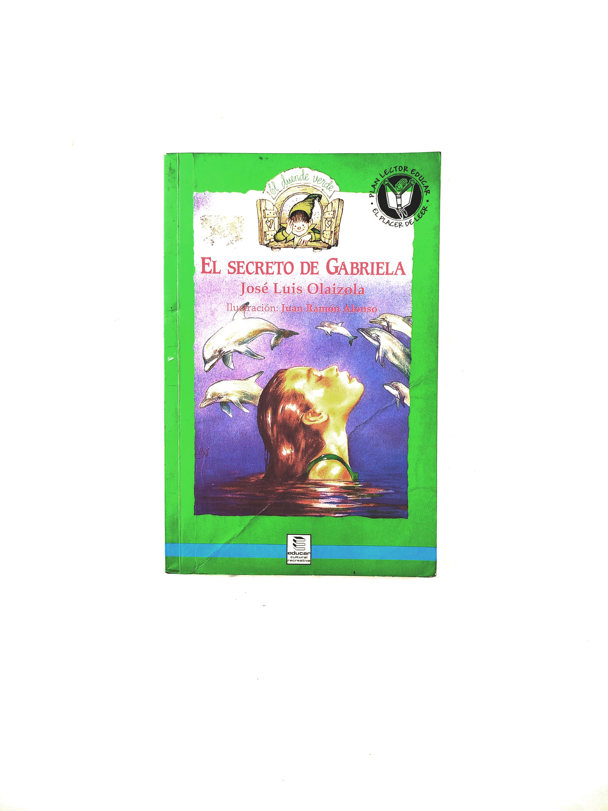 El secreto de Gabriela by José Luís Olaizola