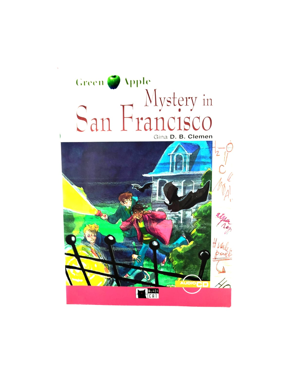 Mystery in San Francisco by Gina D B Clemen