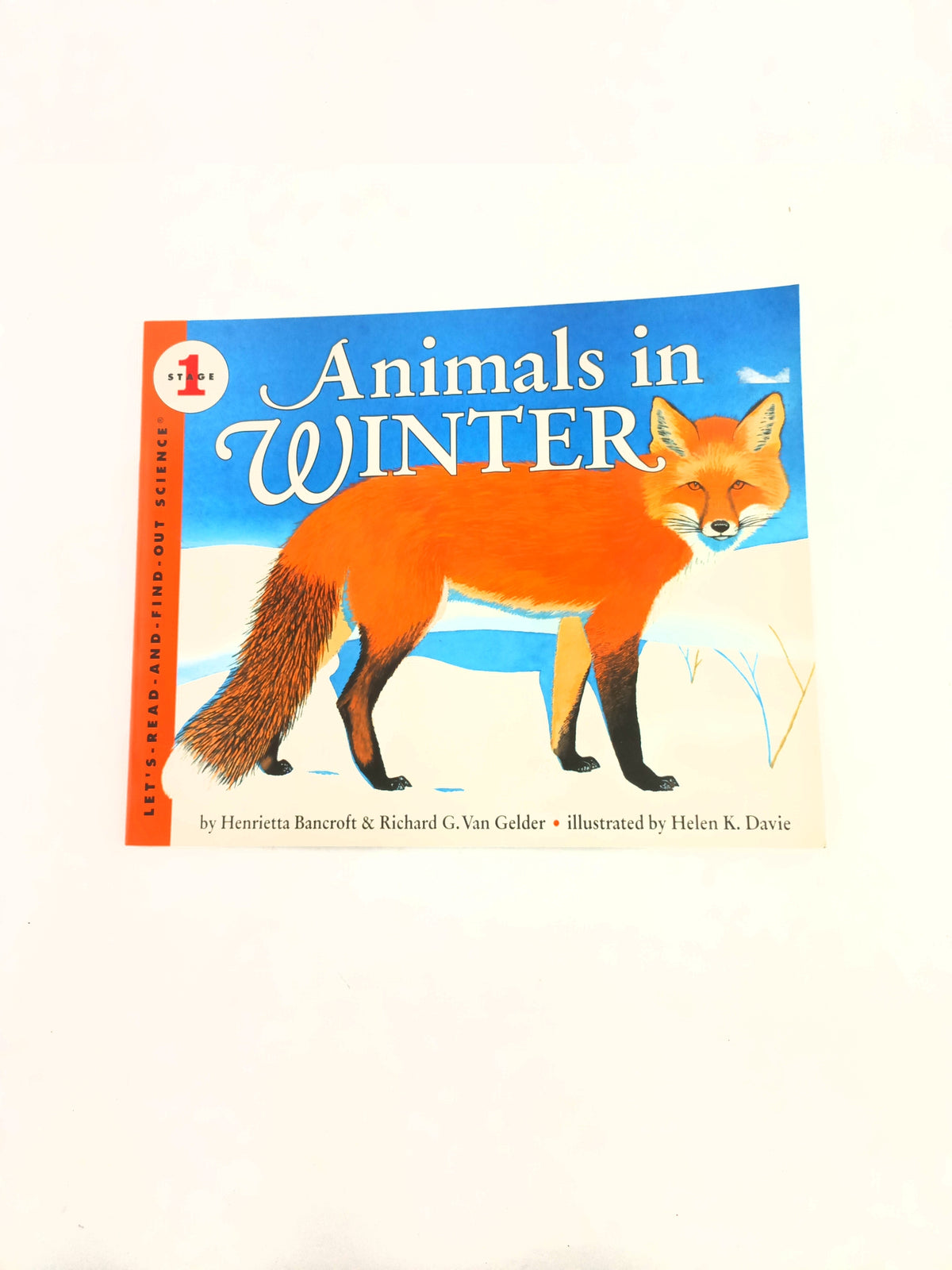 Animals in Winter by Henrietta Bancroft
