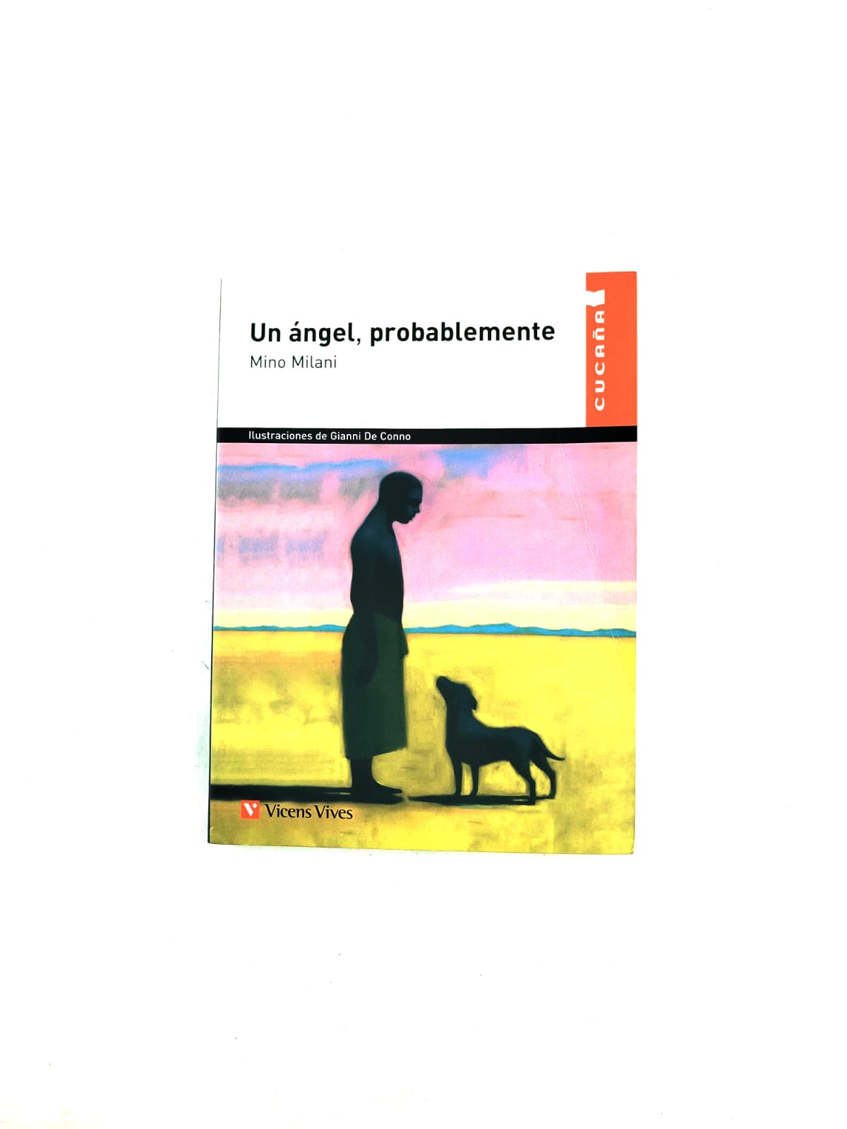 Un ángel probablemente by Mino Milani