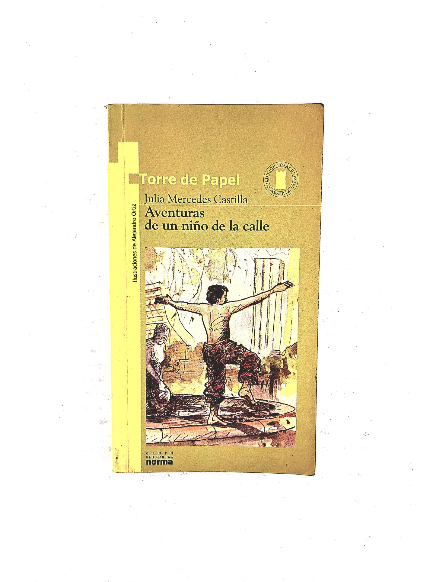 Aventuras de un niño de la calle by Julia Mercedes Castilla