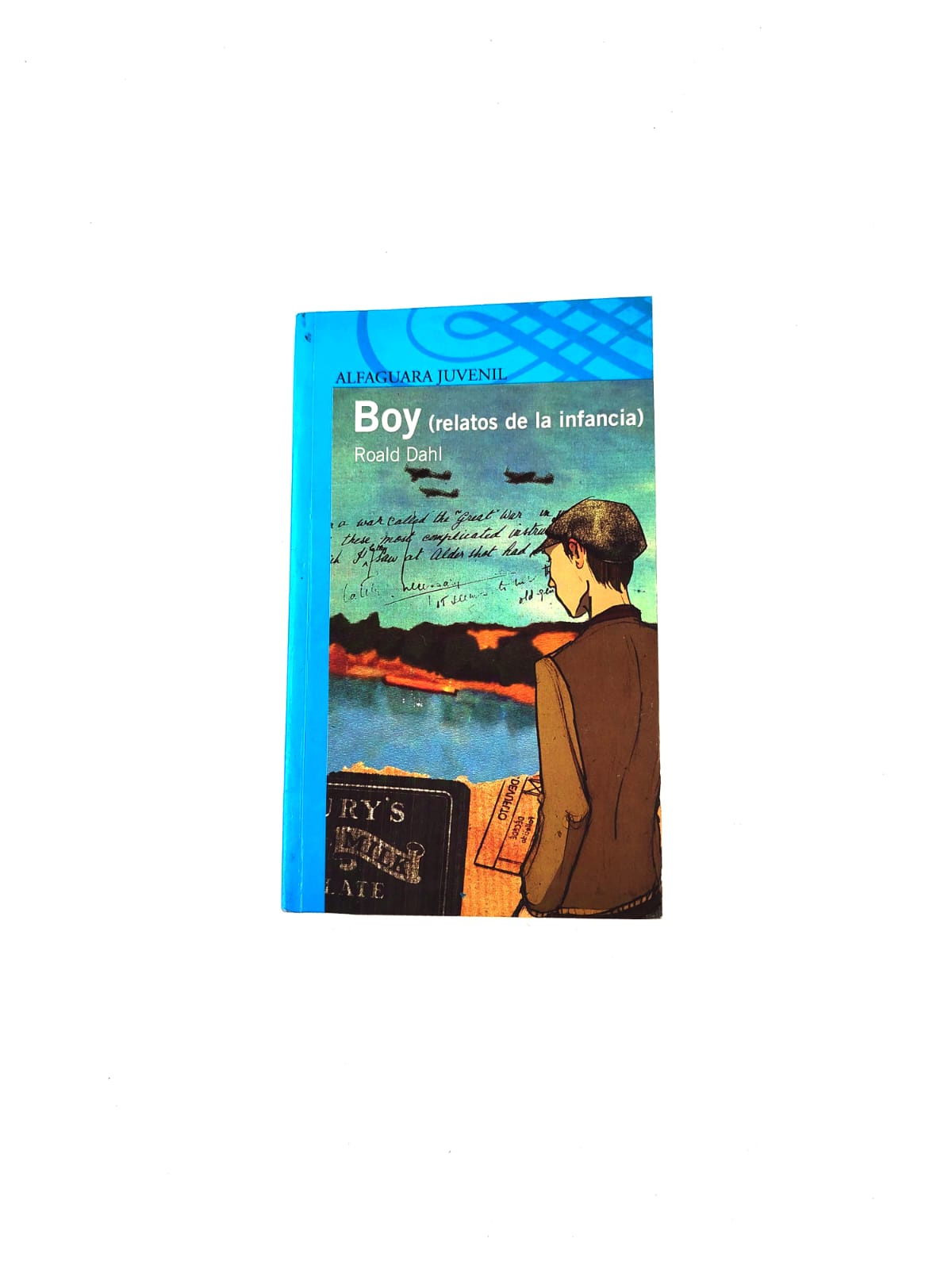 Boy, relatos de la infancia by Roald Dahl