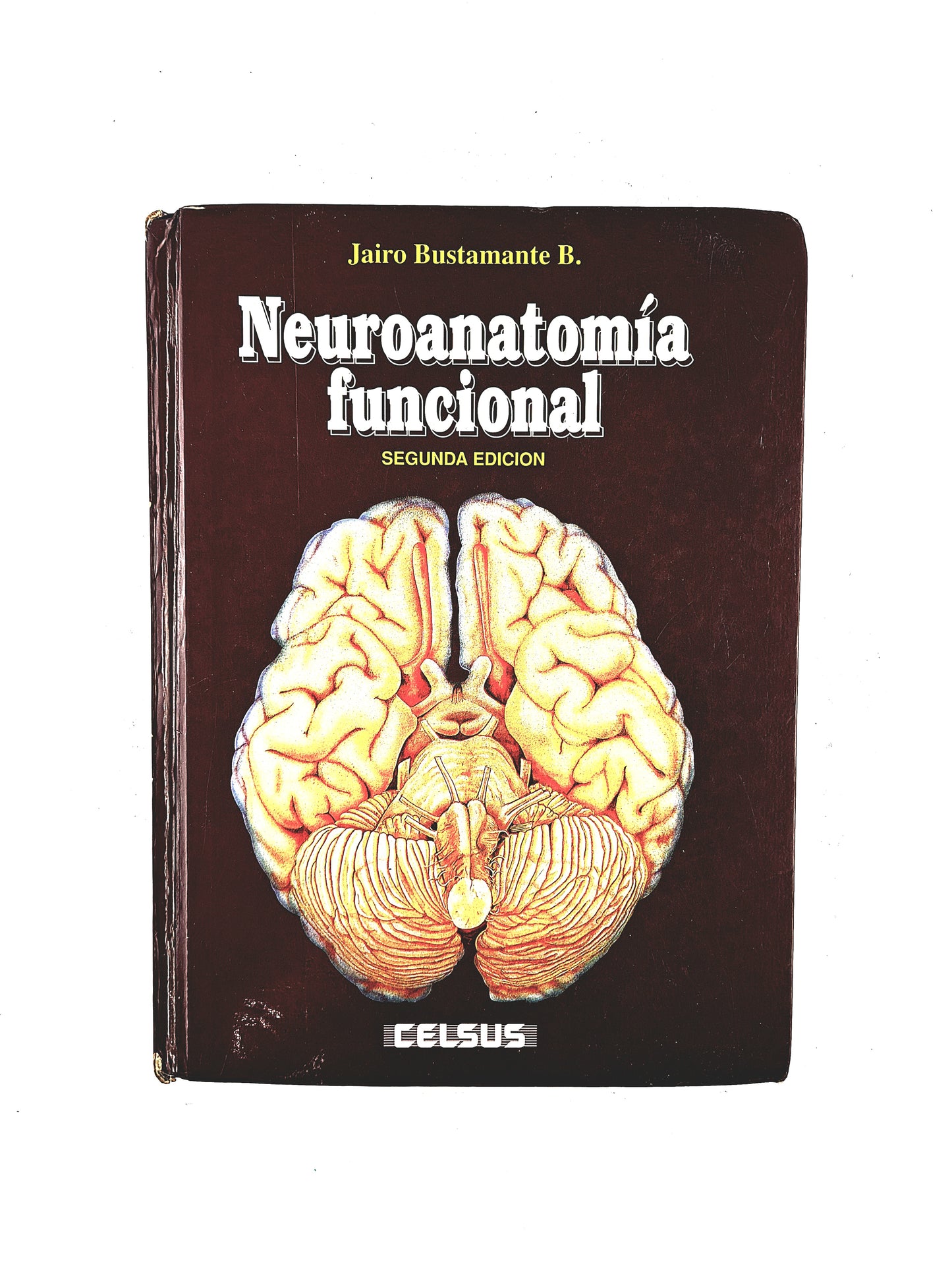 Neuroanatomía funcional segunda edición
