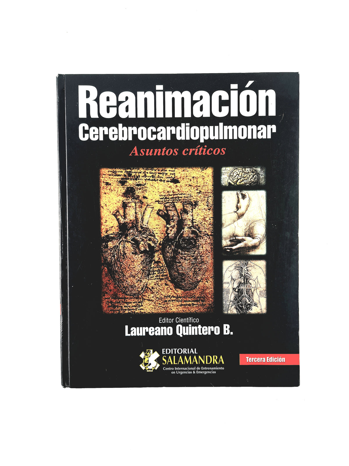 Reanimación Cerebrocardiopumonar asuntos críticos tercera edición by Laureano Quintwero B.