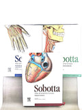 Sobotta Colección Atlas de anatomía humana 23a edición 3 volumen Cabeza, cuello y neuroanatomía. Órganos internos, Anatomía general y aparato locomotor by F. Paulsen y J. Waschtke