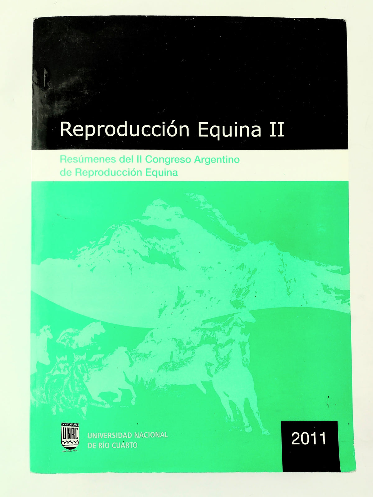 Reproducción equina II by Luis Losinno