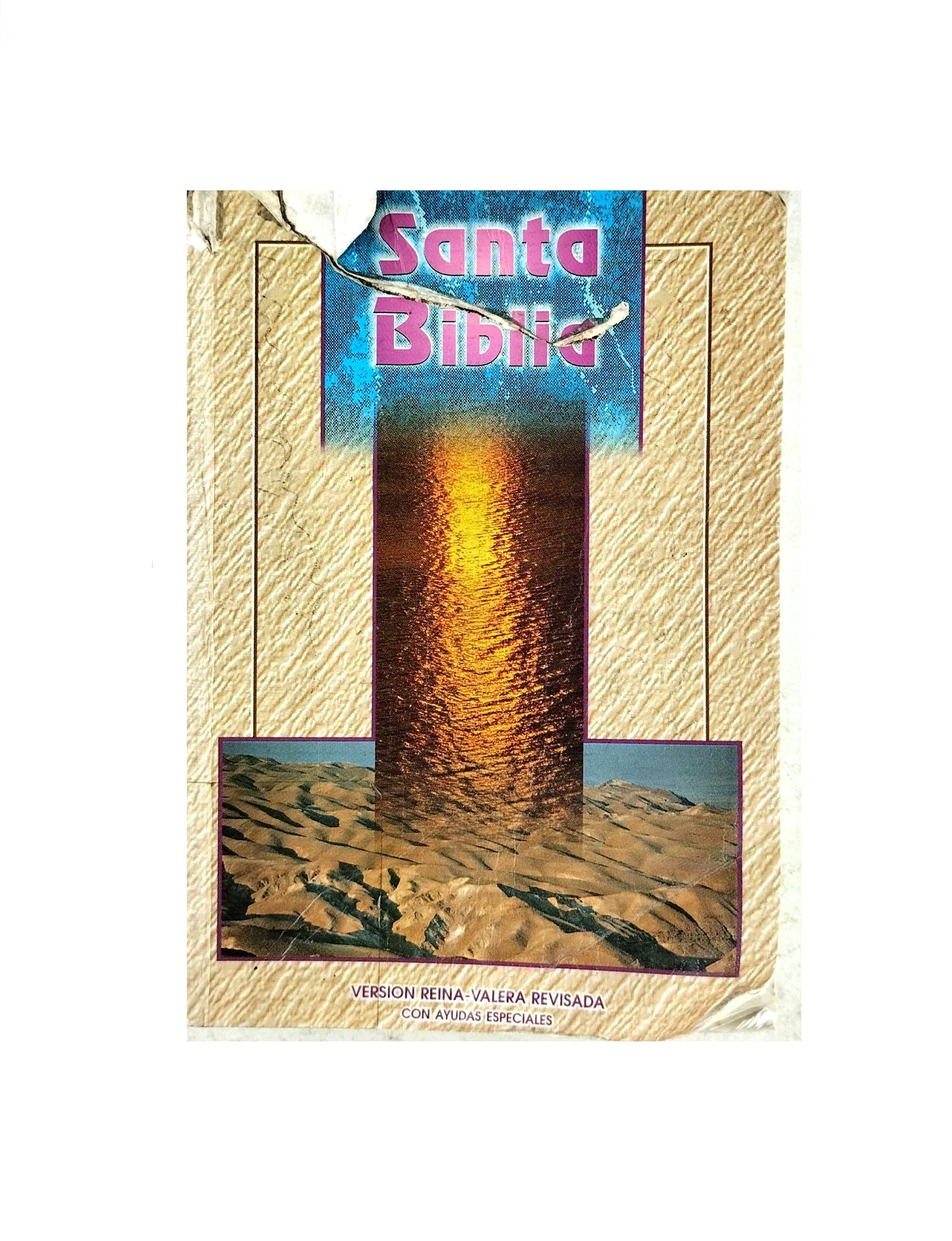 Santa biblia Reina Valera 1960 con ayudas especiales