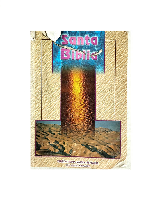 Santa biblia Reina Valera 1960 con ayudas especiales