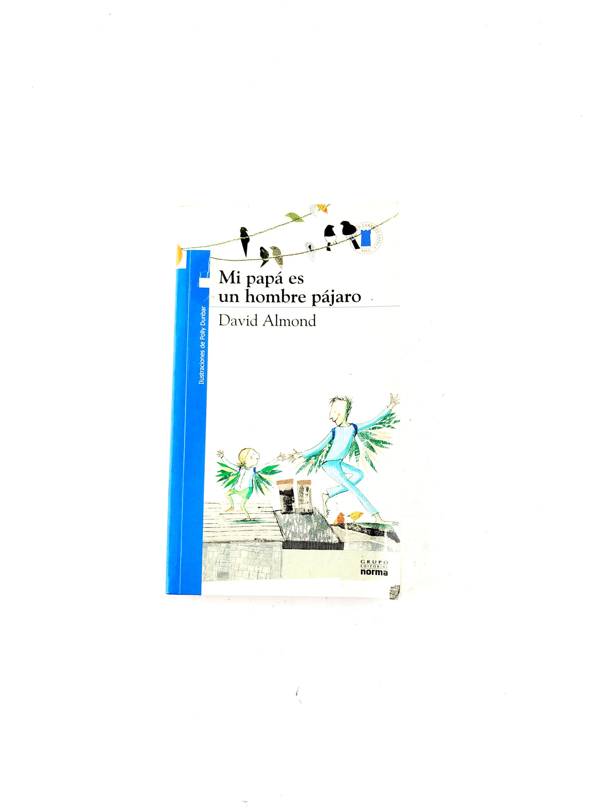 Mi papá es un hombre pájaro by David Almond