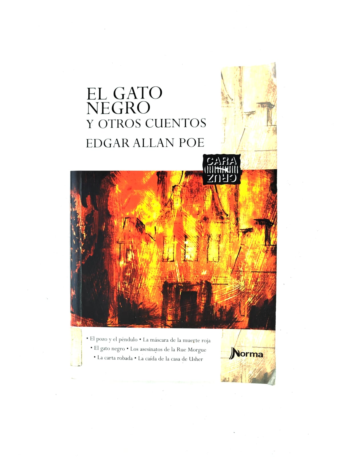 El gato negro y otros cuentos