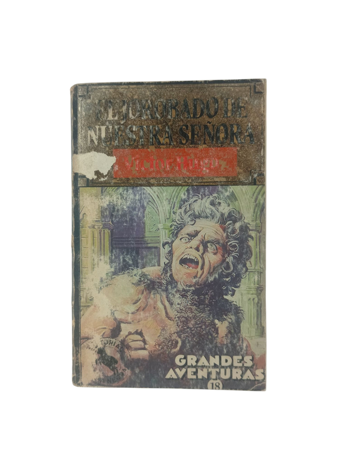 El jorobado de nuestra señora by Victor Hugo