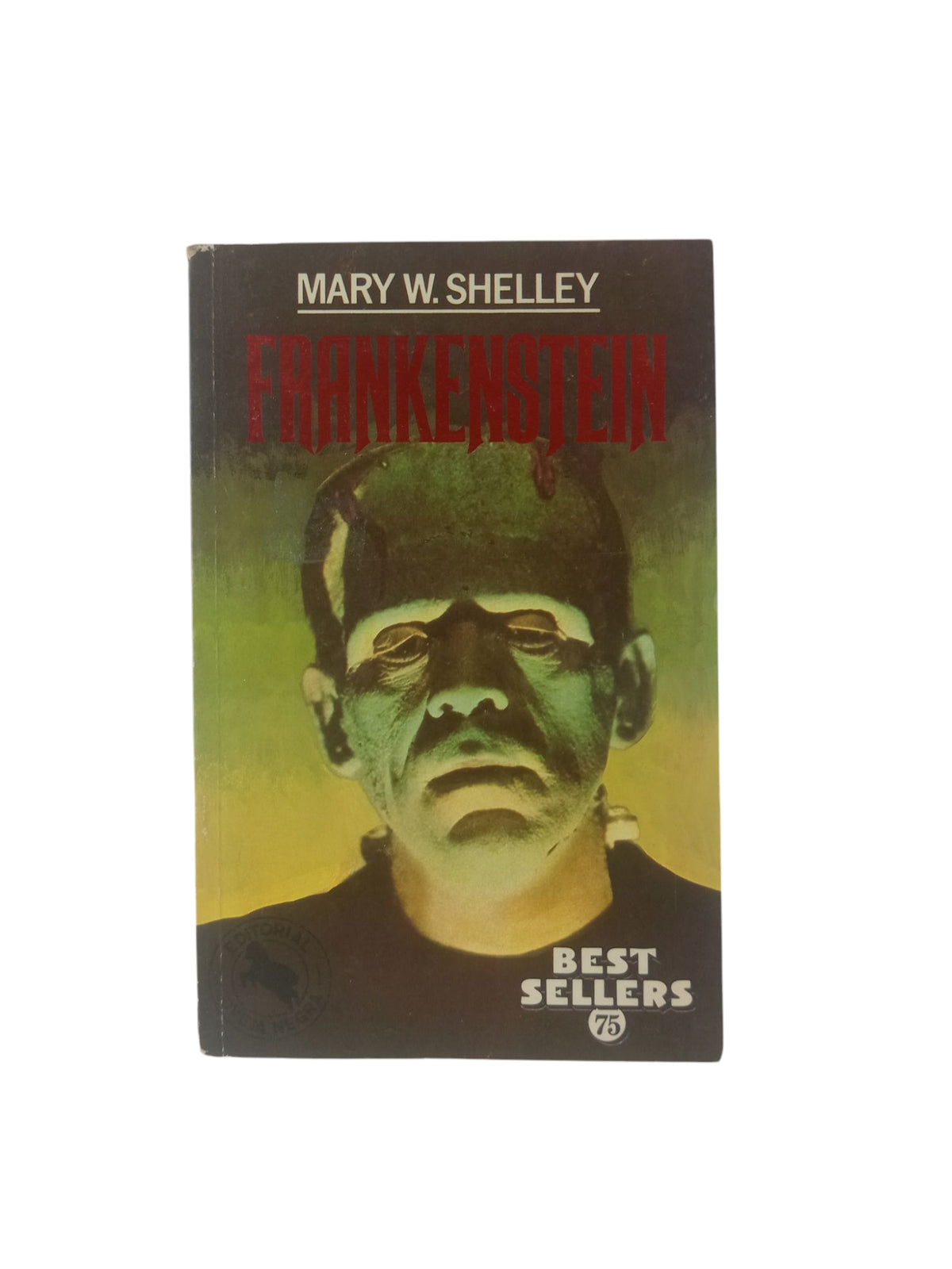 Frankenstein by Mary W Shelley