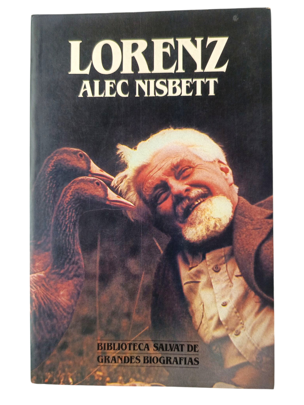 Lorenz by Alec Nisbett