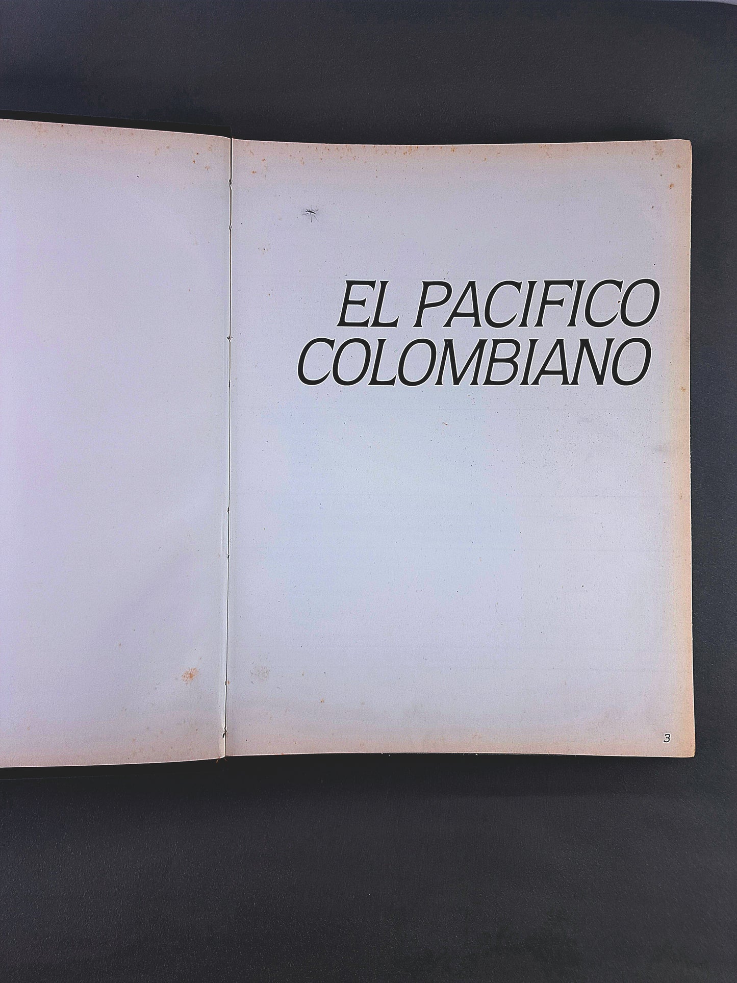 El Pacífico Colombiano