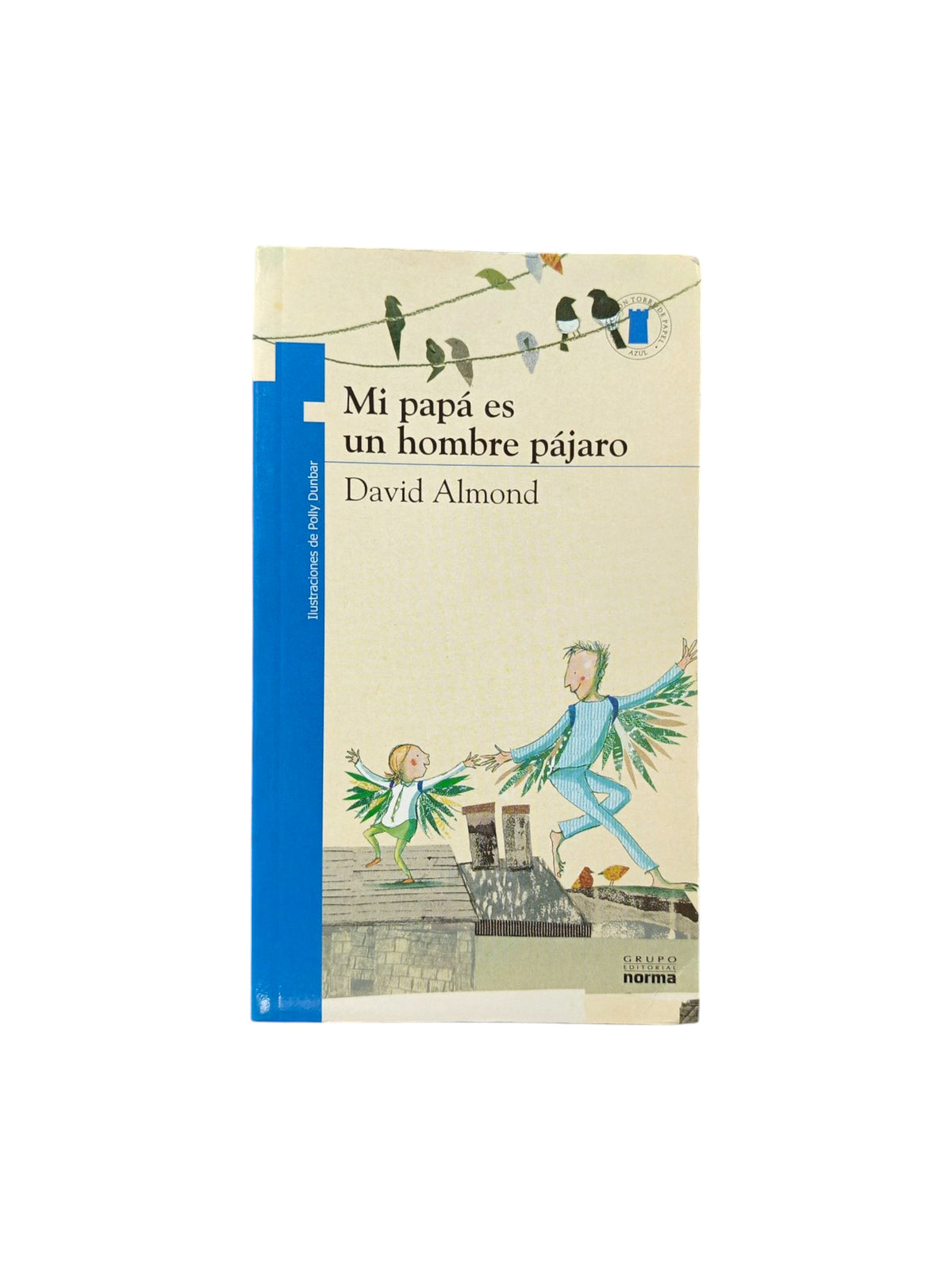 Mi papá es un hombre pájaro libro by David Almond