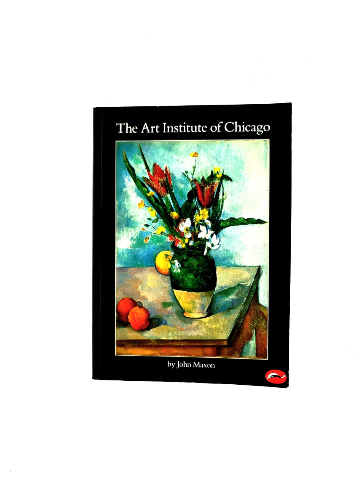 The art institute of Chicago by John Maxon