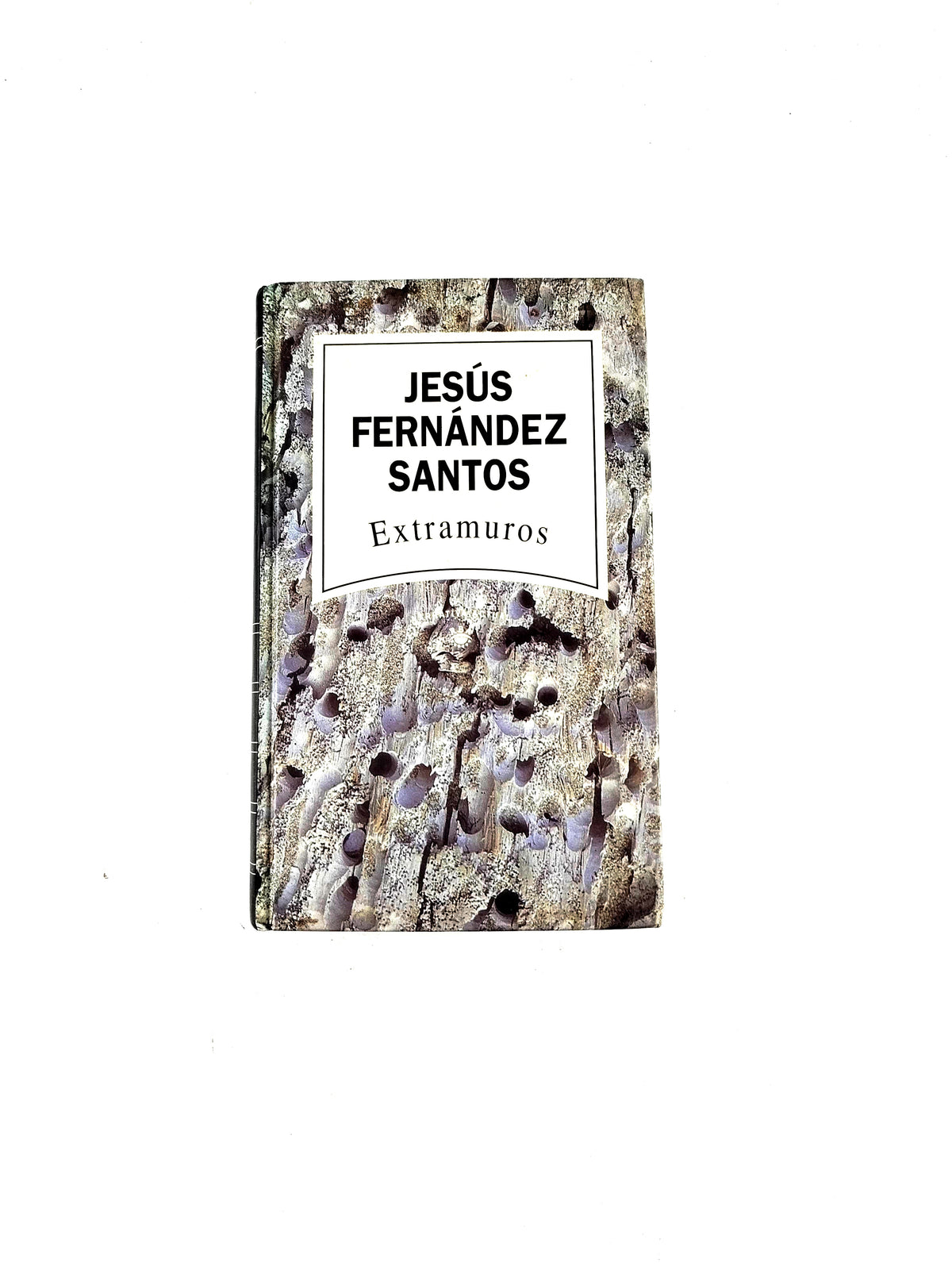 Extramuros by Jesús Fernández Santos