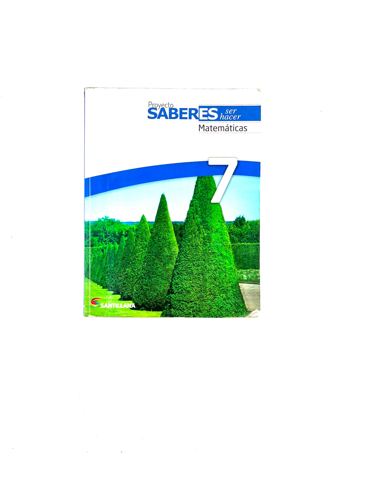 Proyecto saberes ser hacer matemáticas 7 by Joya, Patiño, Buitrago, Sabogal, Ortiz, Ramírez, Sánchez