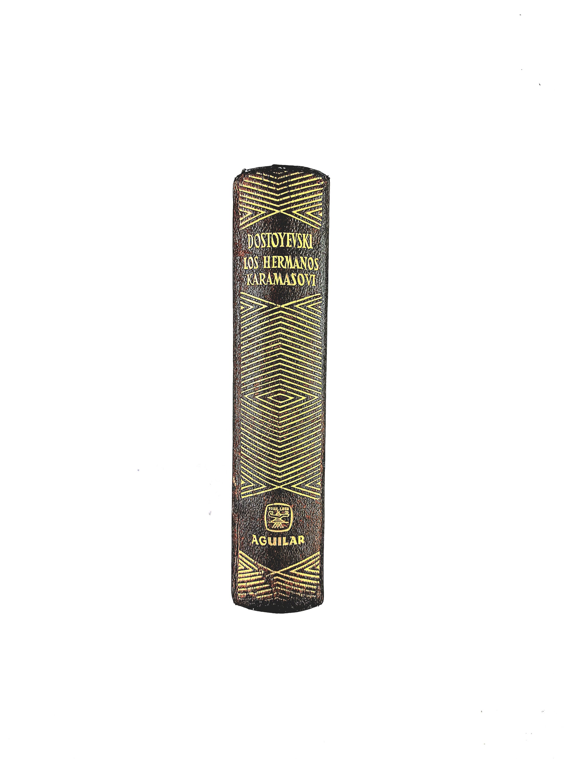 Dostoyevki Los Hermanos Karamasovi by Fiodor M. Dostoyevski