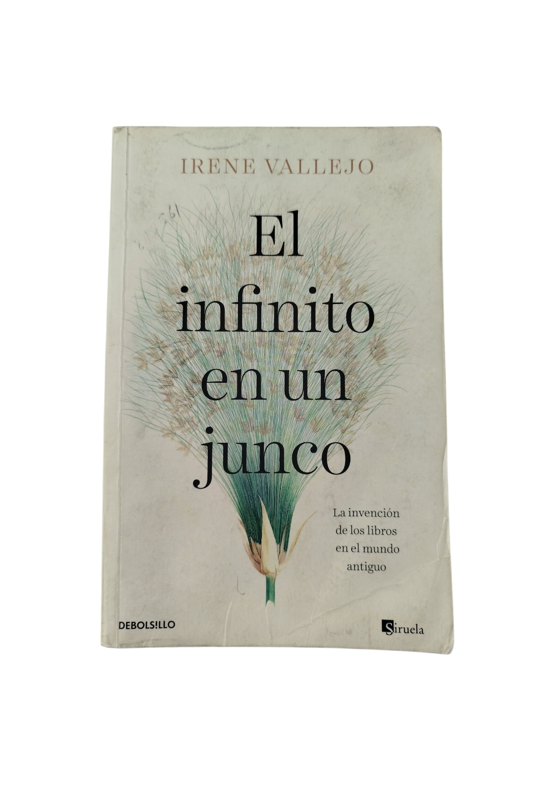 El Infinito en un junco by Irene Vallejo