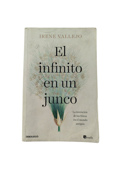 El Infinito en un junco by Irene Vallejo