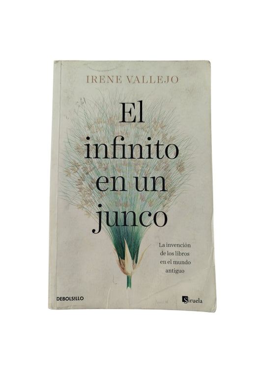 El Infinito en un junco by Irene Vallejo