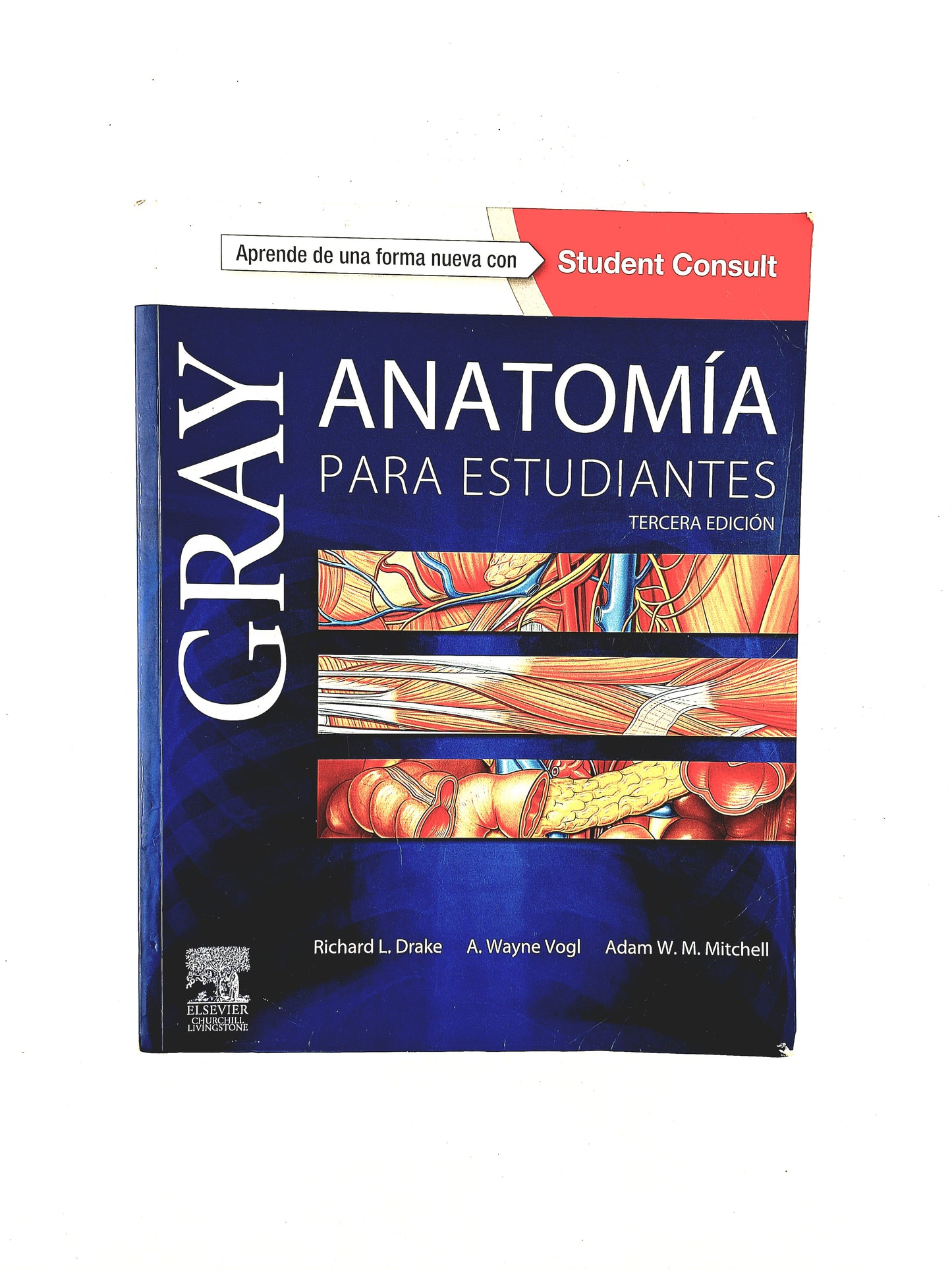 Gray anatomía para estudiantes tercera edición by Richard L. Drake A. Wayne Vogl Adam W. M. Mitchell