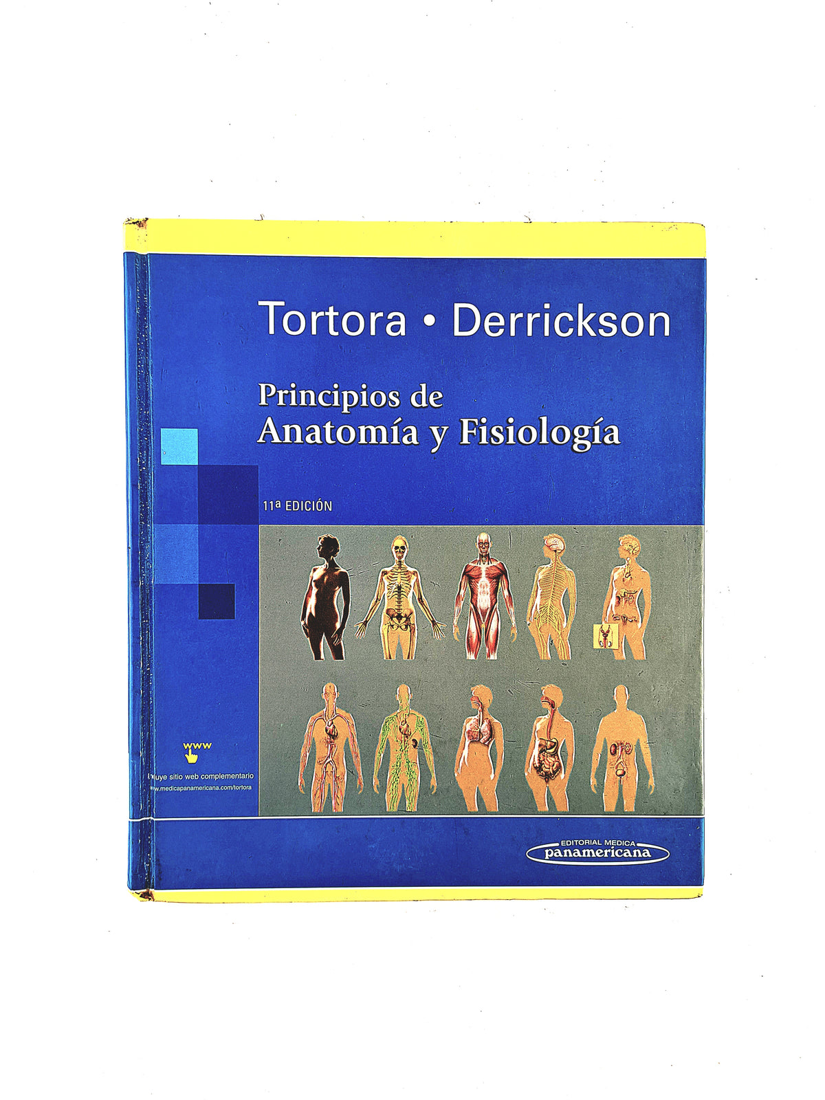 Principíos de anatomía y fisiología 11a. edición by Tortora Derrickson