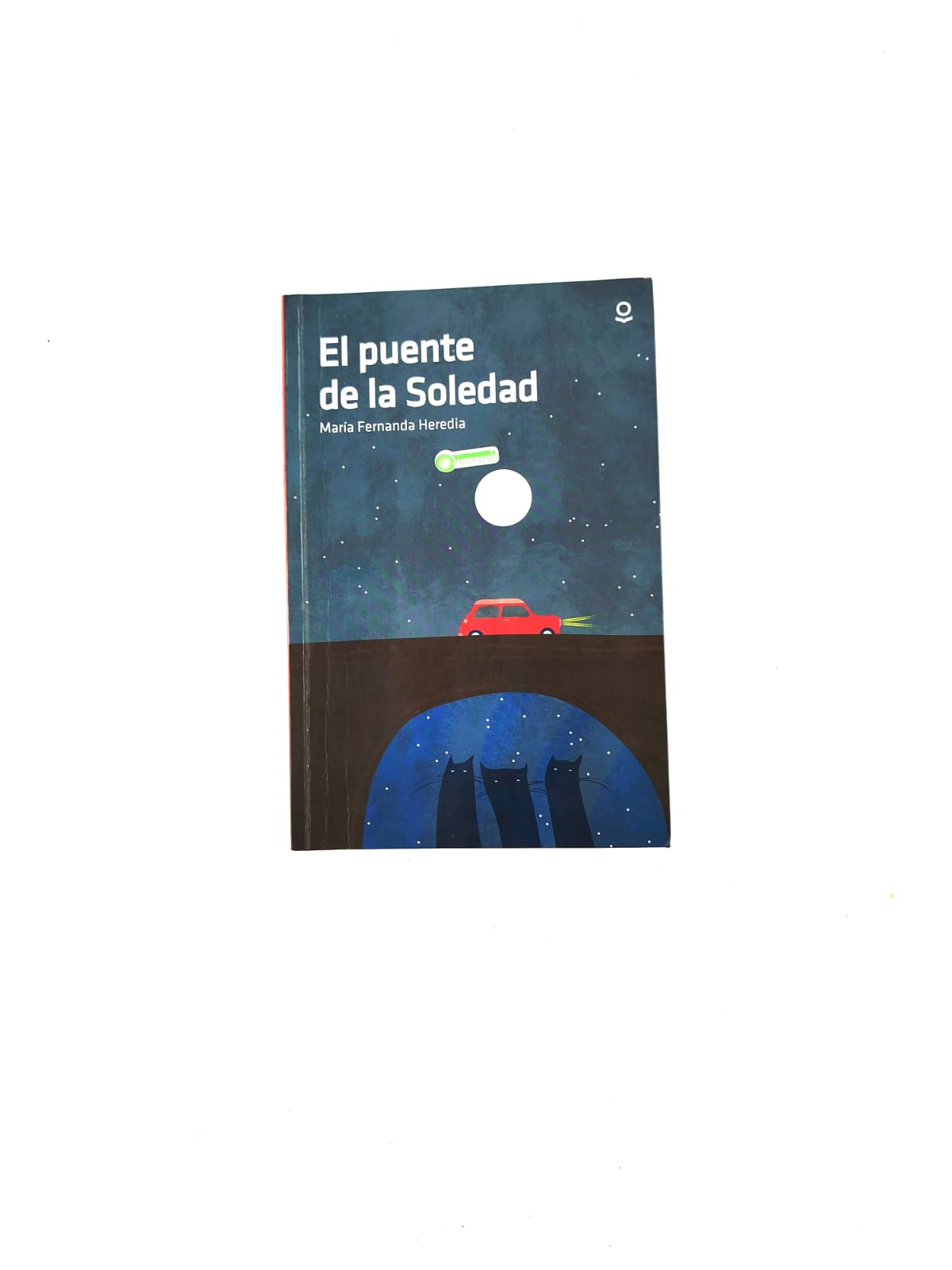 El puente de la Soledad by María Fernanda Herendia