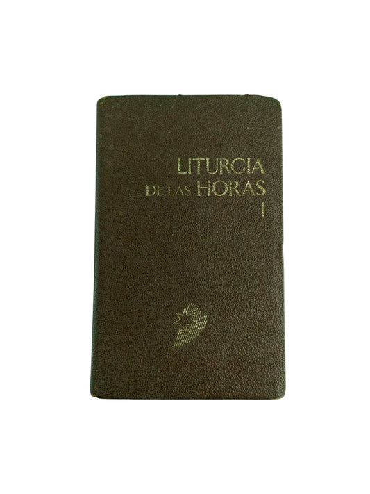 Liturgia de las horas I