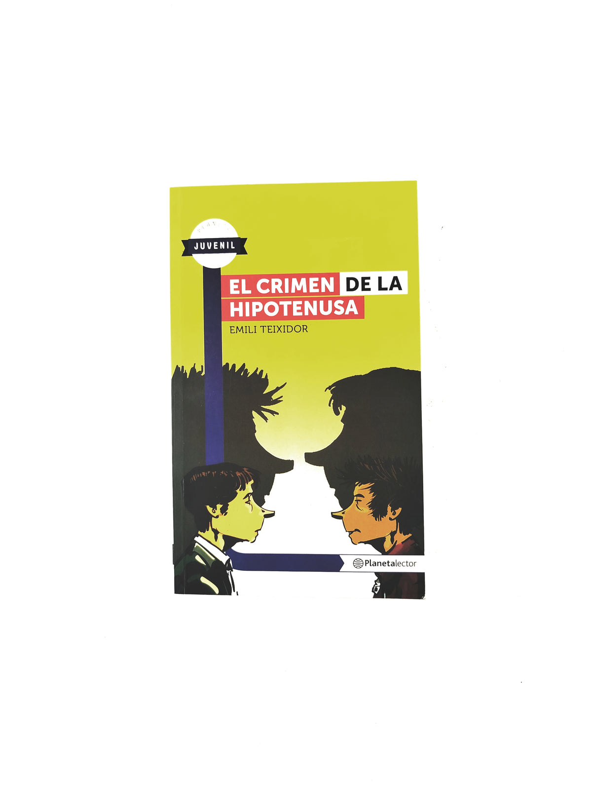 El crimen de la hipotenusa by Emili Teixidor