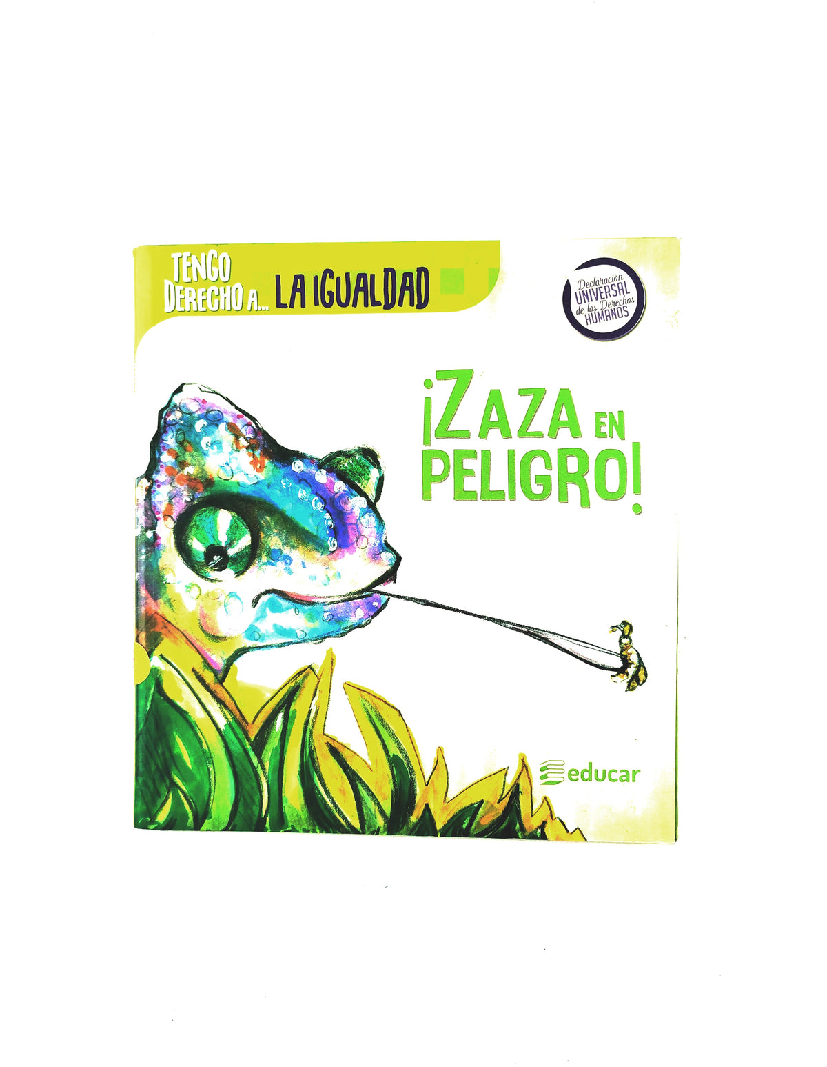 Zaza en peligro by Baltazar Garzón