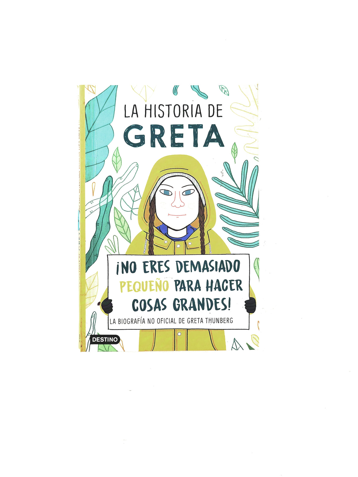 La historia de Greta by Valentina Camerini