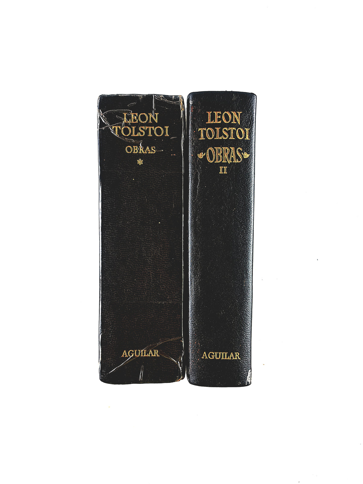Leon Tolstoi Obras Completas 2 volumenes by Leon Tolstoi