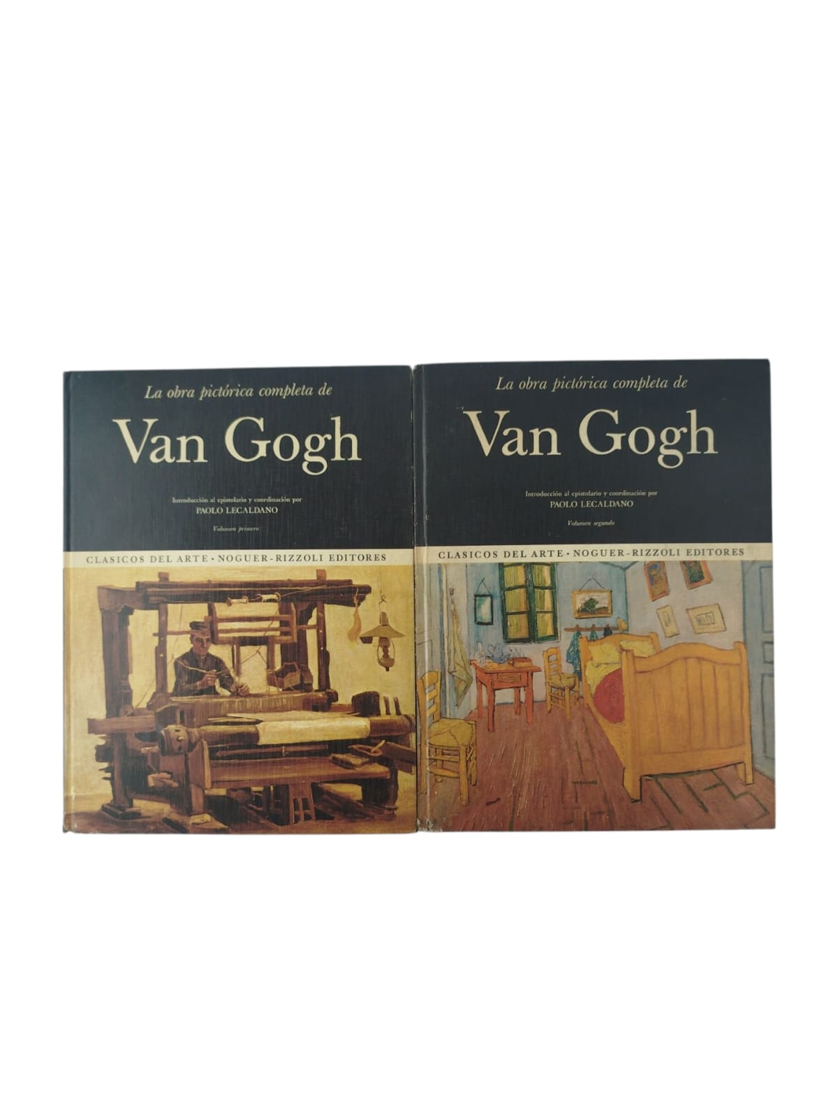 La obra pictórica completa de Van Gogh 2 tomos by Paolo Lecaldano