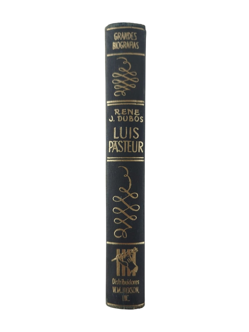 Grandes biografías: Louis Pasteur by Rene Dubos