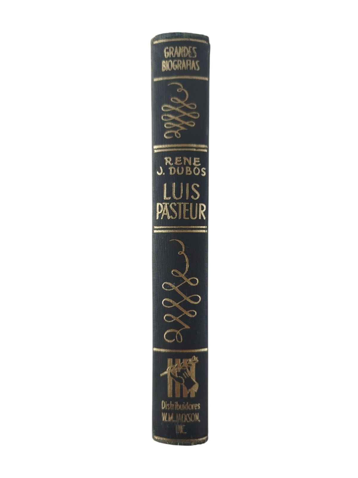 Grandes biografías: Louis Pasteur by Rene Dubos