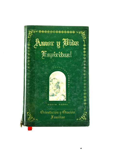 Amor y vida espiritual by Orientacion y oracion familiar