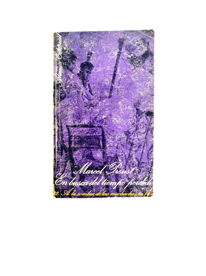 En busca del tiempo perdido 2. A la sombra de las muchachas en flor